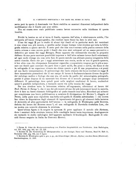 Palaeontographia Italica raccolta di monografie paleontologiche fondata da Mario Canavari nell'anno 1895