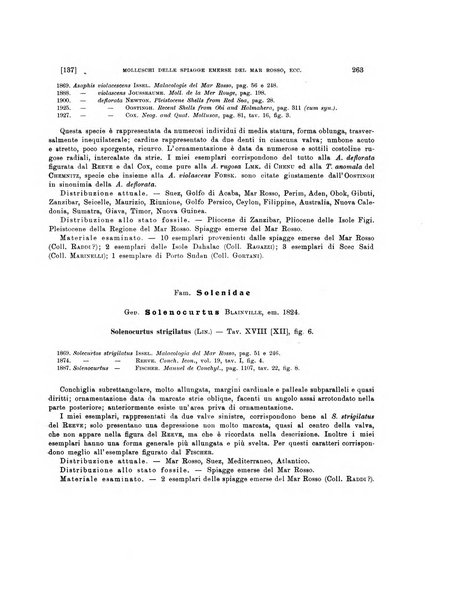 Palaeontographia Italica raccolta di monografie paleontologiche fondata da Mario Canavari nell'anno 1895