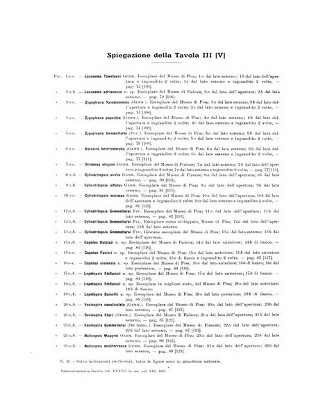 Palaeontographia Italica raccolta di monografie paleontologiche fondata da Mario Canavari nell'anno 1895