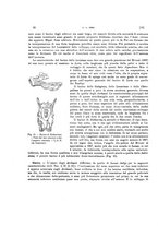 giornale/VEA0025754/1938/unico/00000026
