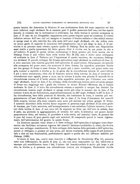 Palaeontographia Italica raccolta di monografie paleontologiche fondata da Mario Canavari nell'anno 1895