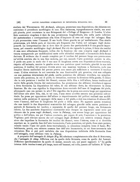 Palaeontographia Italica raccolta di monografie paleontologiche fondata da Mario Canavari nell'anno 1895