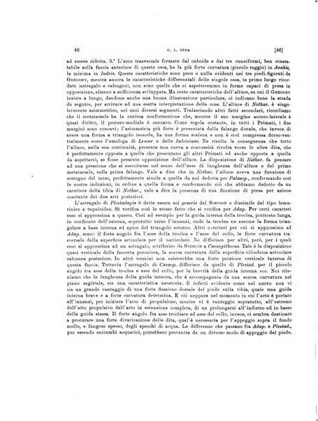 Palaeontographia Italica raccolta di monografie paleontologiche fondata da Mario Canavari nell'anno 1895