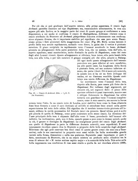 Palaeontographia Italica raccolta di monografie paleontologiche fondata da Mario Canavari nell'anno 1895