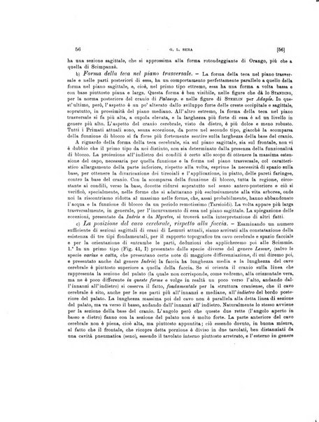 Palaeontographia Italica raccolta di monografie paleontologiche fondata da Mario Canavari nell'anno 1895