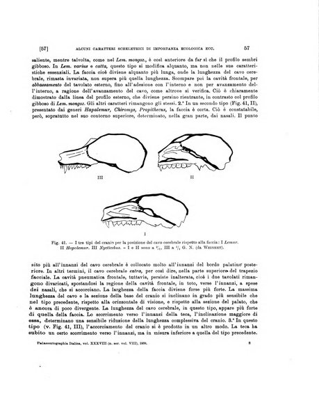 Palaeontographia Italica raccolta di monografie paleontologiche fondata da Mario Canavari nell'anno 1895