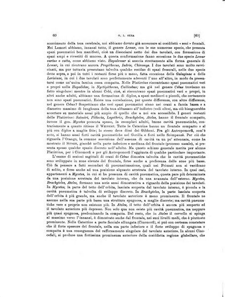 Palaeontographia Italica raccolta di monografie paleontologiche fondata da Mario Canavari nell'anno 1895