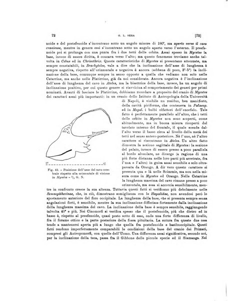 Palaeontographia Italica raccolta di monografie paleontologiche fondata da Mario Canavari nell'anno 1895