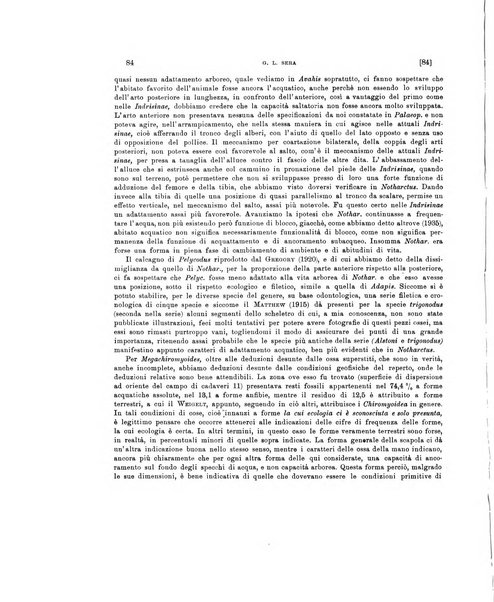 Palaeontographia Italica raccolta di monografie paleontologiche fondata da Mario Canavari nell'anno 1895