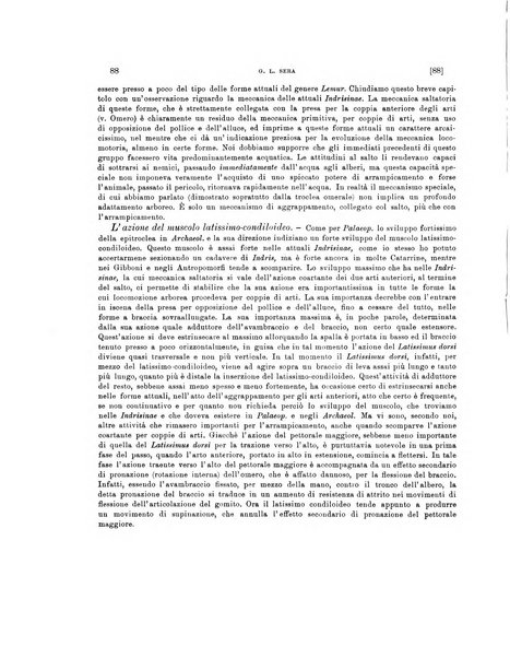 Palaeontographia Italica raccolta di monografie paleontologiche fondata da Mario Canavari nell'anno 1895