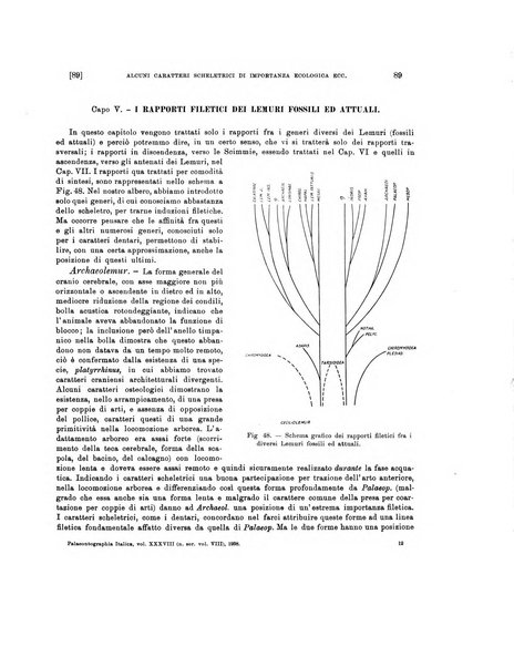 Palaeontographia Italica raccolta di monografie paleontologiche fondata da Mario Canavari nell'anno 1895