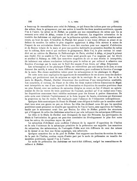 Palaeontographia Italica raccolta di monografie paleontologiche fondata da Mario Canavari nell'anno 1895