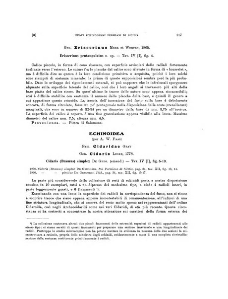 Palaeontographia Italica raccolta di monografie paleontologiche fondata da Mario Canavari nell'anno 1895