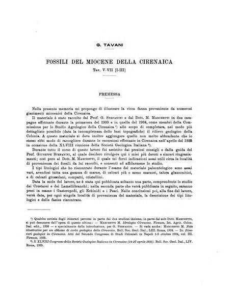 Palaeontographia Italica raccolta di monografie paleontologiche fondata da Mario Canavari nell'anno 1895