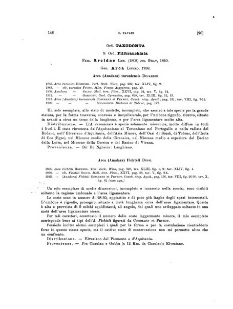 Palaeontographia Italica raccolta di monografie paleontologiche fondata da Mario Canavari nell'anno 1895