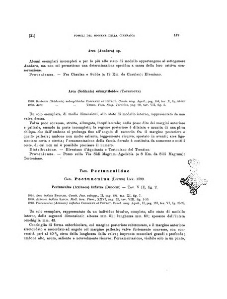 Palaeontographia Italica raccolta di monografie paleontologiche fondata da Mario Canavari nell'anno 1895