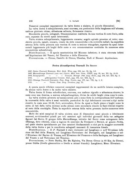 Palaeontographia Italica raccolta di monografie paleontologiche fondata da Mario Canavari nell'anno 1895