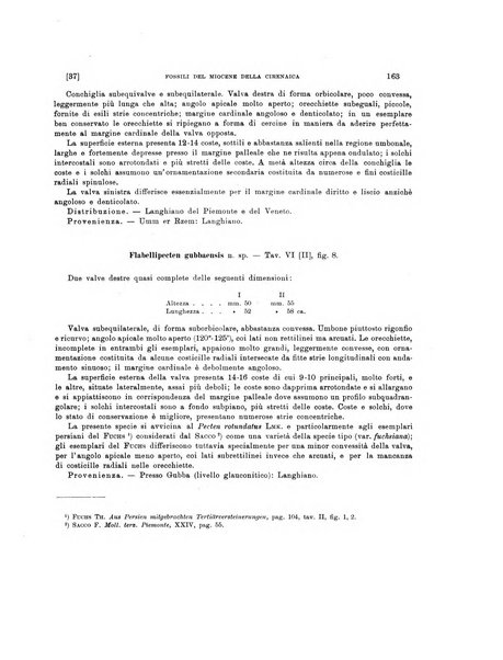 Palaeontographia Italica raccolta di monografie paleontologiche fondata da Mario Canavari nell'anno 1895