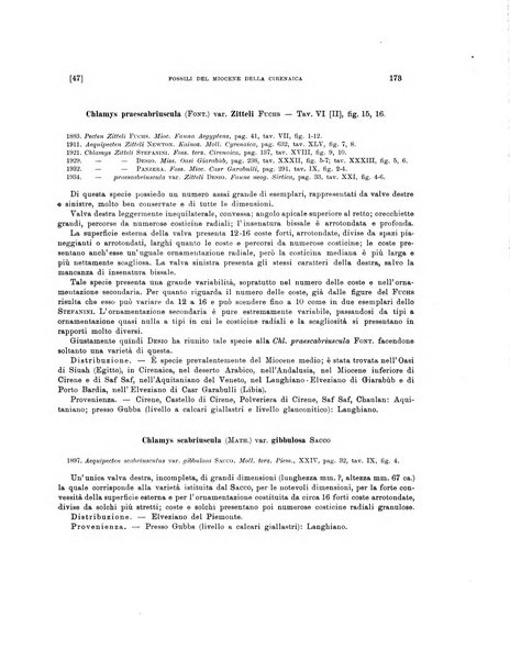 Palaeontographia Italica raccolta di monografie paleontologiche fondata da Mario Canavari nell'anno 1895