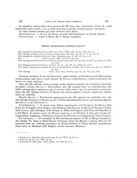 Palaeontographia Italica raccolta di monografie paleontologiche fondata da Mario Canavari nell'anno 1895