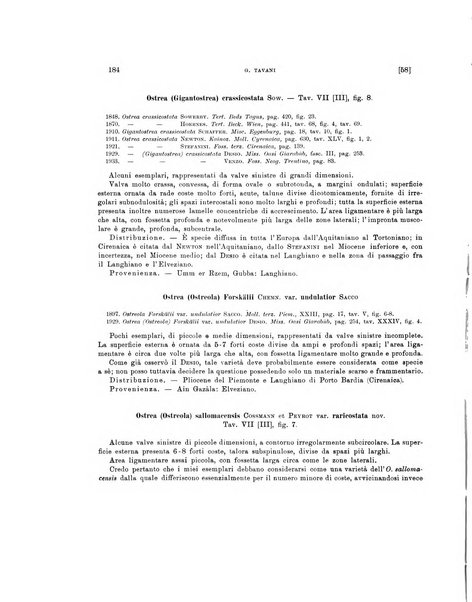 Palaeontographia Italica raccolta di monografie paleontologiche fondata da Mario Canavari nell'anno 1895