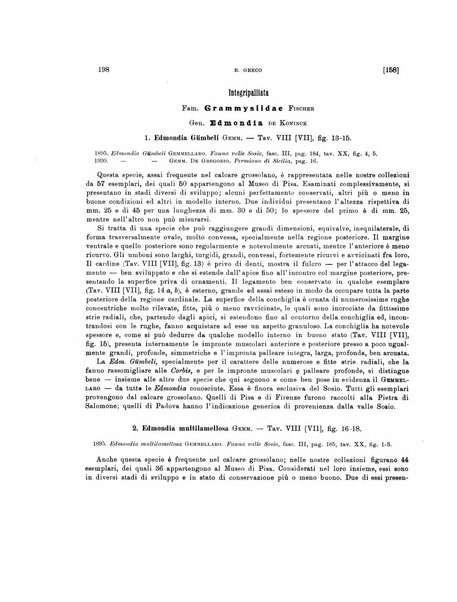 Palaeontographia Italica raccolta di monografie paleontologiche fondata da Mario Canavari nell'anno 1895