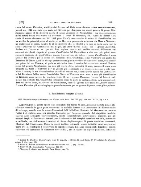 Palaeontographia Italica raccolta di monografie paleontologiche fondata da Mario Canavari nell'anno 1895