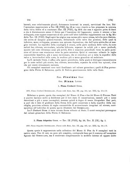 Palaeontographia Italica raccolta di monografie paleontologiche fondata da Mario Canavari nell'anno 1895