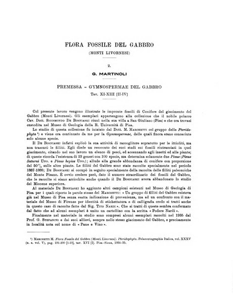 Palaeontographia Italica raccolta di monografie paleontologiche fondata da Mario Canavari nell'anno 1895