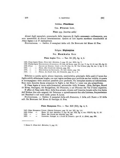 Palaeontographia Italica raccolta di monografie paleontologiche fondata da Mario Canavari nell'anno 1895