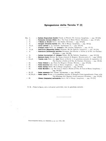 Palaeontographia Italica raccolta di monografie paleontologiche fondata da Mario Canavari nell'anno 1895