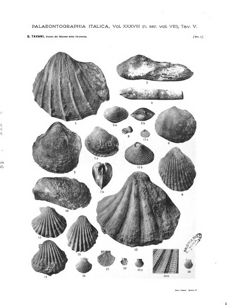 Palaeontographia Italica raccolta di monografie paleontologiche fondata da Mario Canavari nell'anno 1895