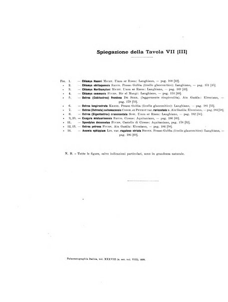 Palaeontographia Italica raccolta di monografie paleontologiche fondata da Mario Canavari nell'anno 1895