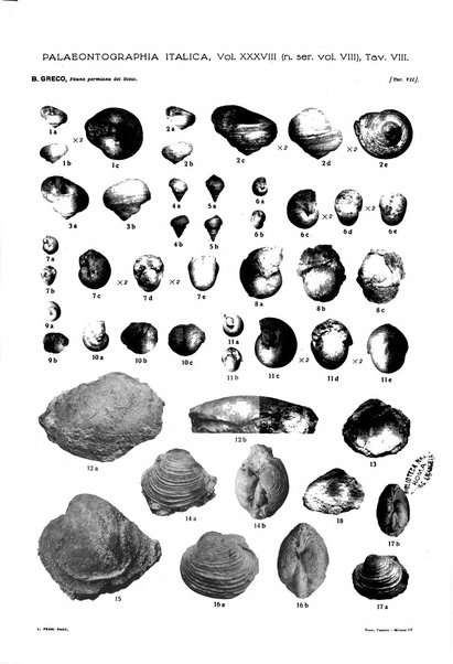 Palaeontographia Italica raccolta di monografie paleontologiche fondata da Mario Canavari nell'anno 1895