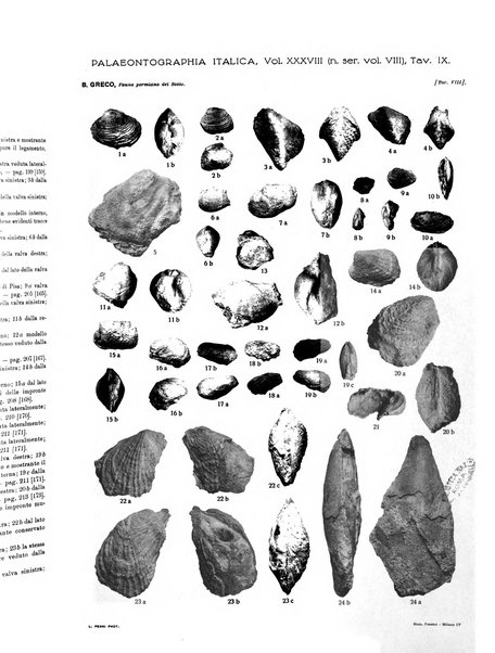 Palaeontographia Italica raccolta di monografie paleontologiche fondata da Mario Canavari nell'anno 1895