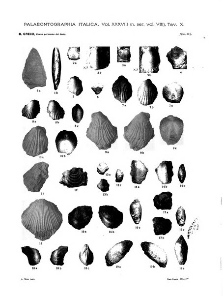 Palaeontographia Italica raccolta di monografie paleontologiche fondata da Mario Canavari nell'anno 1895