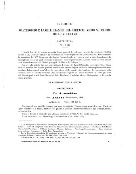 Palaeontographia Italica raccolta di monografie paleontologiche fondata da Mario Canavari nell'anno 1895