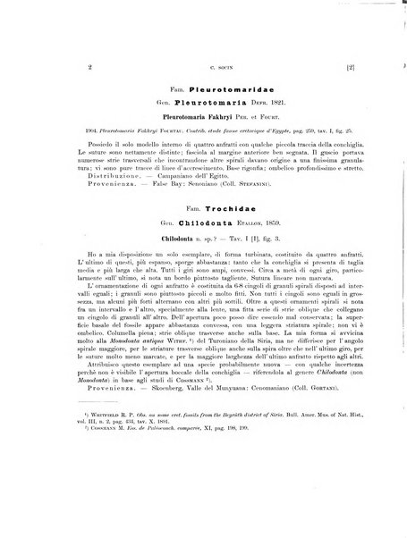 Palaeontographia Italica raccolta di monografie paleontologiche fondata da Mario Canavari nell'anno 1895