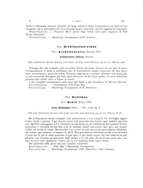 Palaeontographia Italica raccolta di monografie paleontologiche fondata da Mario Canavari nell'anno 1895