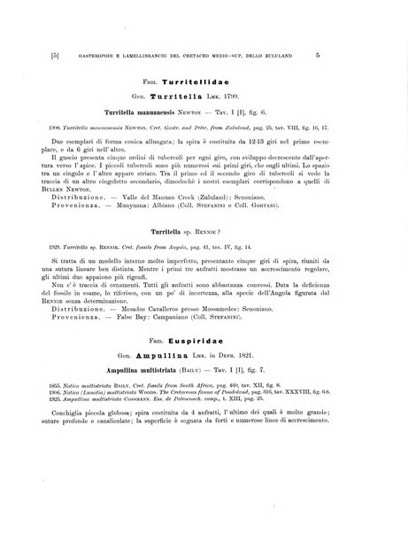 Palaeontographia Italica raccolta di monografie paleontologiche fondata da Mario Canavari nell'anno 1895