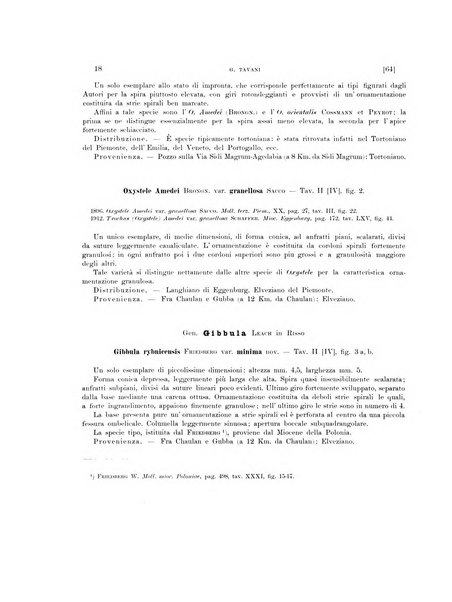 Palaeontographia Italica raccolta di monografie paleontologiche fondata da Mario Canavari nell'anno 1895