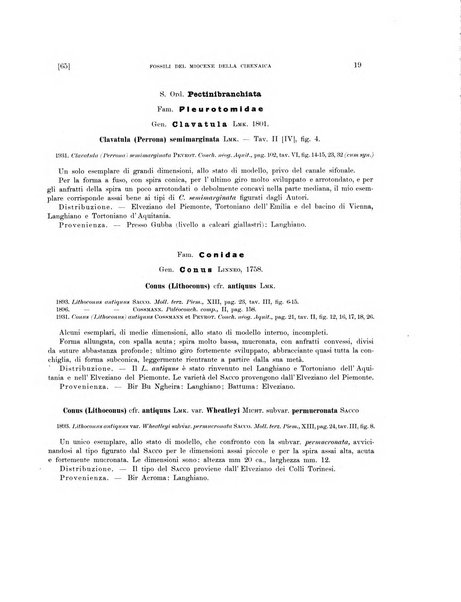 Palaeontographia Italica raccolta di monografie paleontologiche fondata da Mario Canavari nell'anno 1895