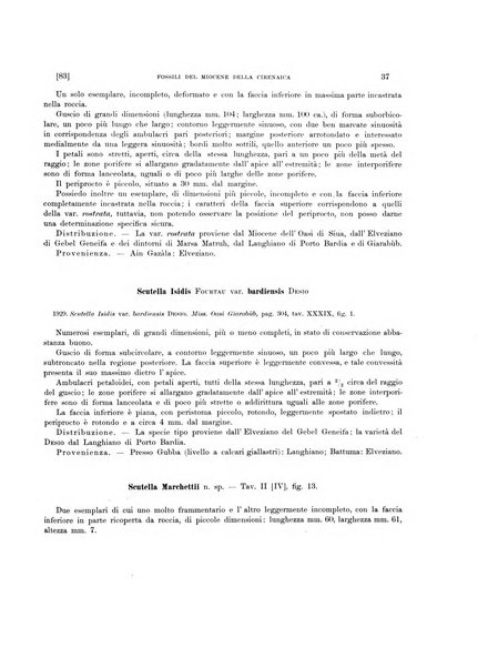 Palaeontographia Italica raccolta di monografie paleontologiche fondata da Mario Canavari nell'anno 1895