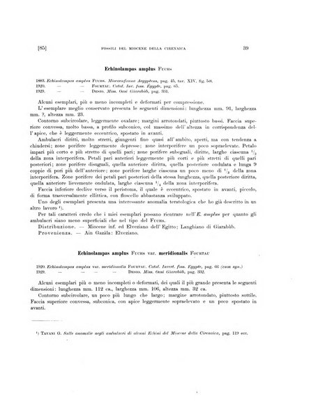 Palaeontographia Italica raccolta di monografie paleontologiche fondata da Mario Canavari nell'anno 1895