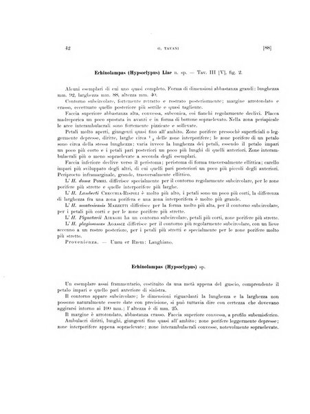 Palaeontographia Italica raccolta di monografie paleontologiche fondata da Mario Canavari nell'anno 1895