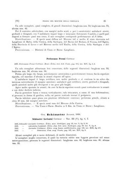 Palaeontographia Italica raccolta di monografie paleontologiche fondata da Mario Canavari nell'anno 1895