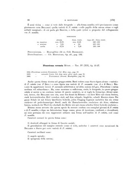 Palaeontographia Italica raccolta di monografie paleontologiche fondata da Mario Canavari nell'anno 1895