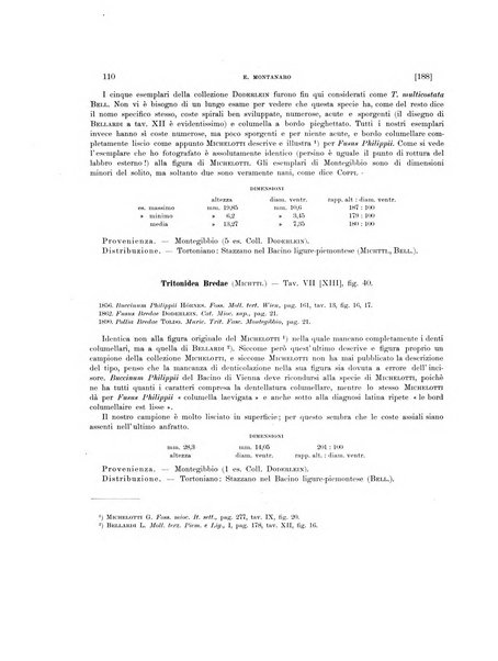 Palaeontographia Italica raccolta di monografie paleontologiche fondata da Mario Canavari nell'anno 1895