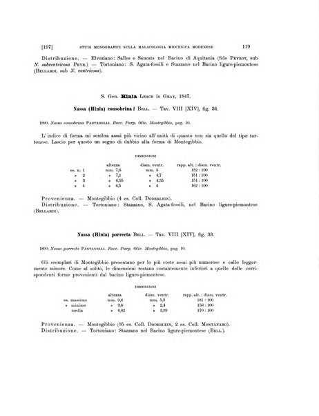 Palaeontographia Italica raccolta di monografie paleontologiche fondata da Mario Canavari nell'anno 1895