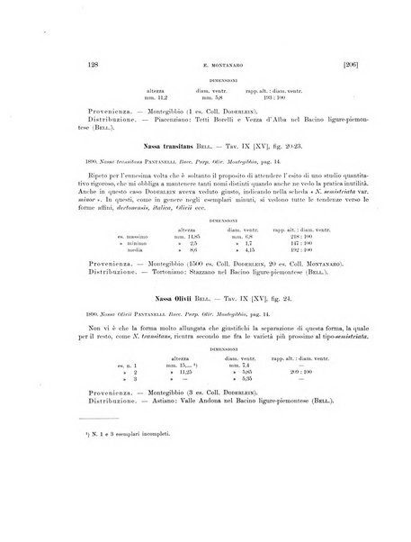 Palaeontographia Italica raccolta di monografie paleontologiche fondata da Mario Canavari nell'anno 1895